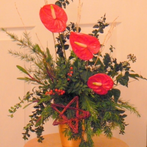 Christmas Anthurium Arrangement