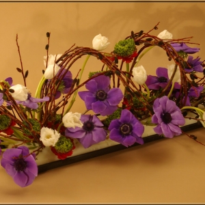 Purple Anemones