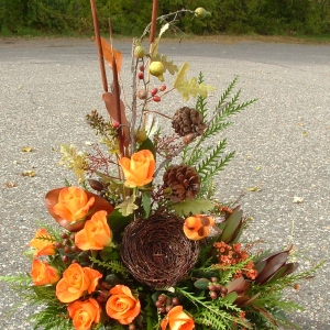 Bird's nest and orange roses.