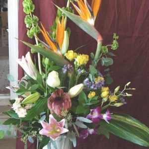 Tropical Arrangement