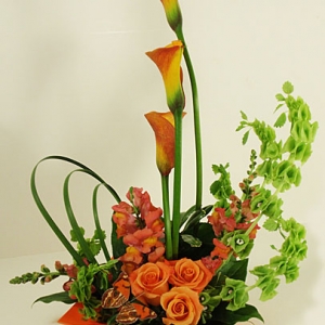 Orange_Callas_and_Bells_of_Ireland