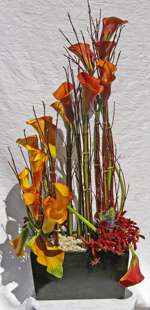 Art Gallery opening, Orange Calla Lily