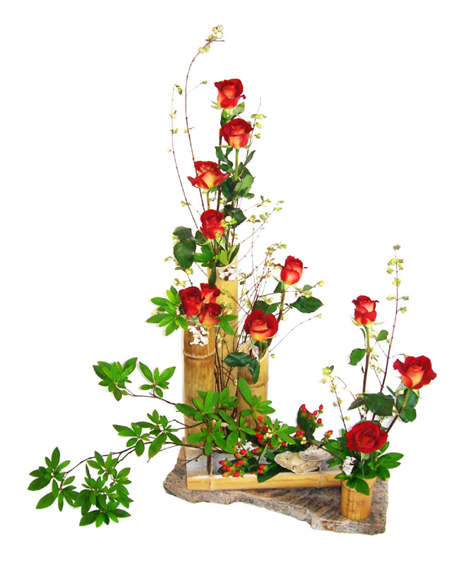 Bamboo roses