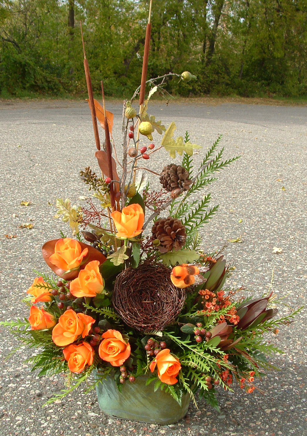 Bird's nest and orange roses.