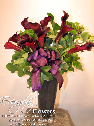 Black Calla Lilies Schwarzwalder Mini Calla Lily