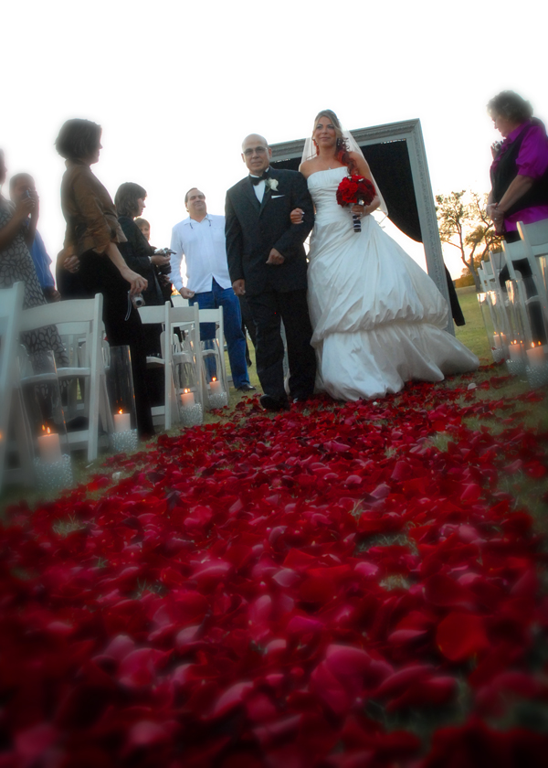 Brides and Blooms