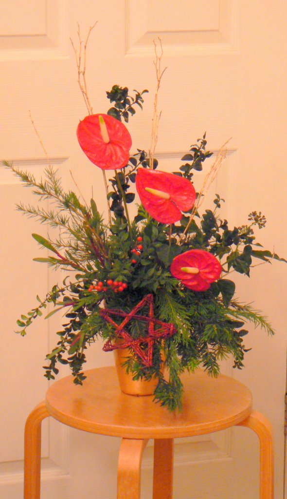 Christmas Anthurium Arrangement