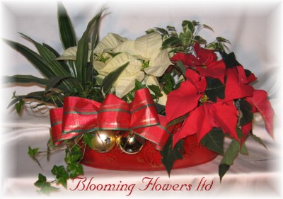 Christmas planter