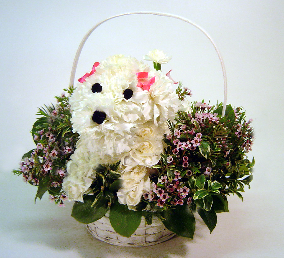 Dog Flowers