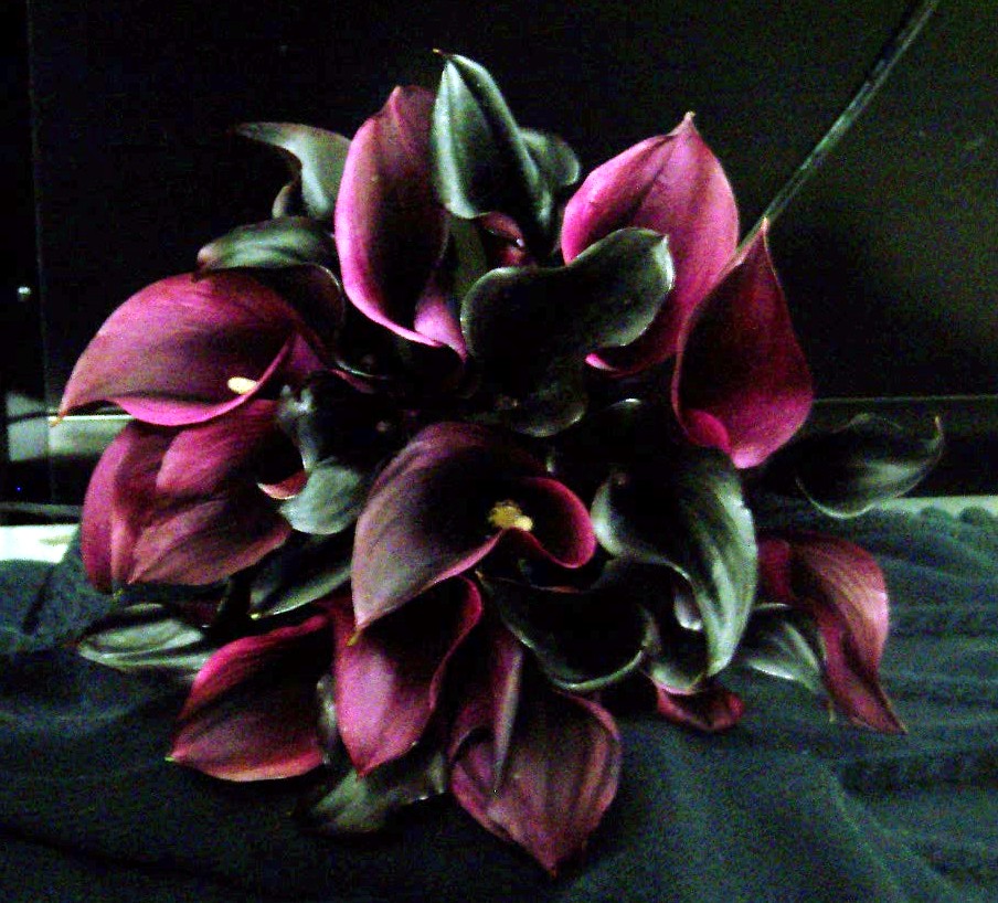 Dramatic Calla Lily Bouquet