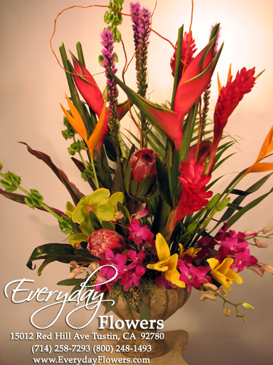 Exotic Tropical Flowers By Everyday Flowers