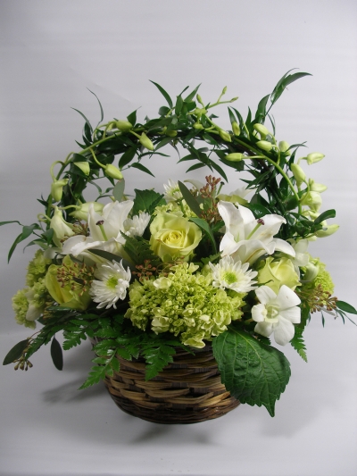 green orchid basket
