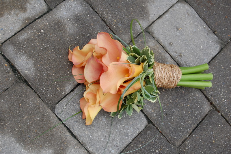 Handtied Peach Callas