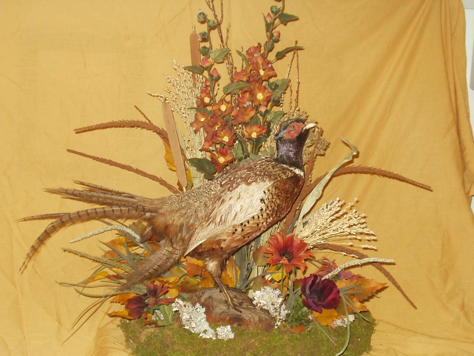 Maine Pheasant Arrangement in Permanent Botanicals