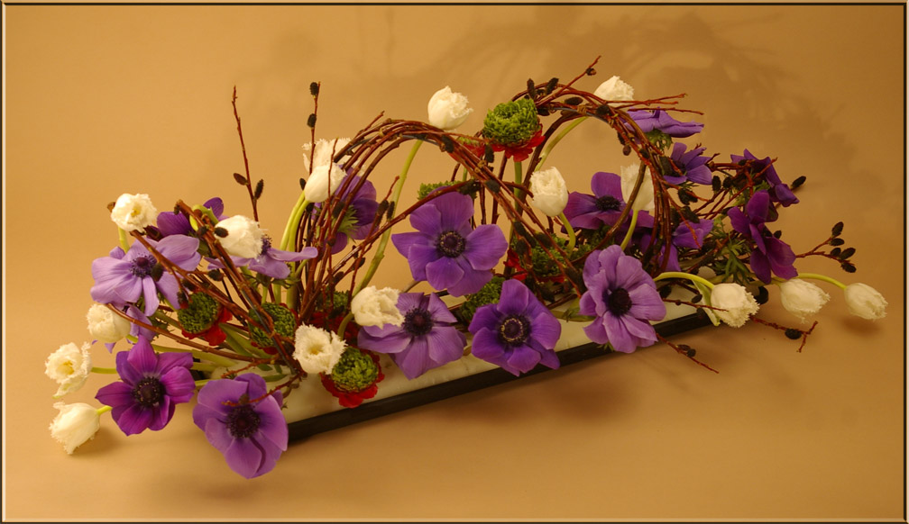 Purple Anemones