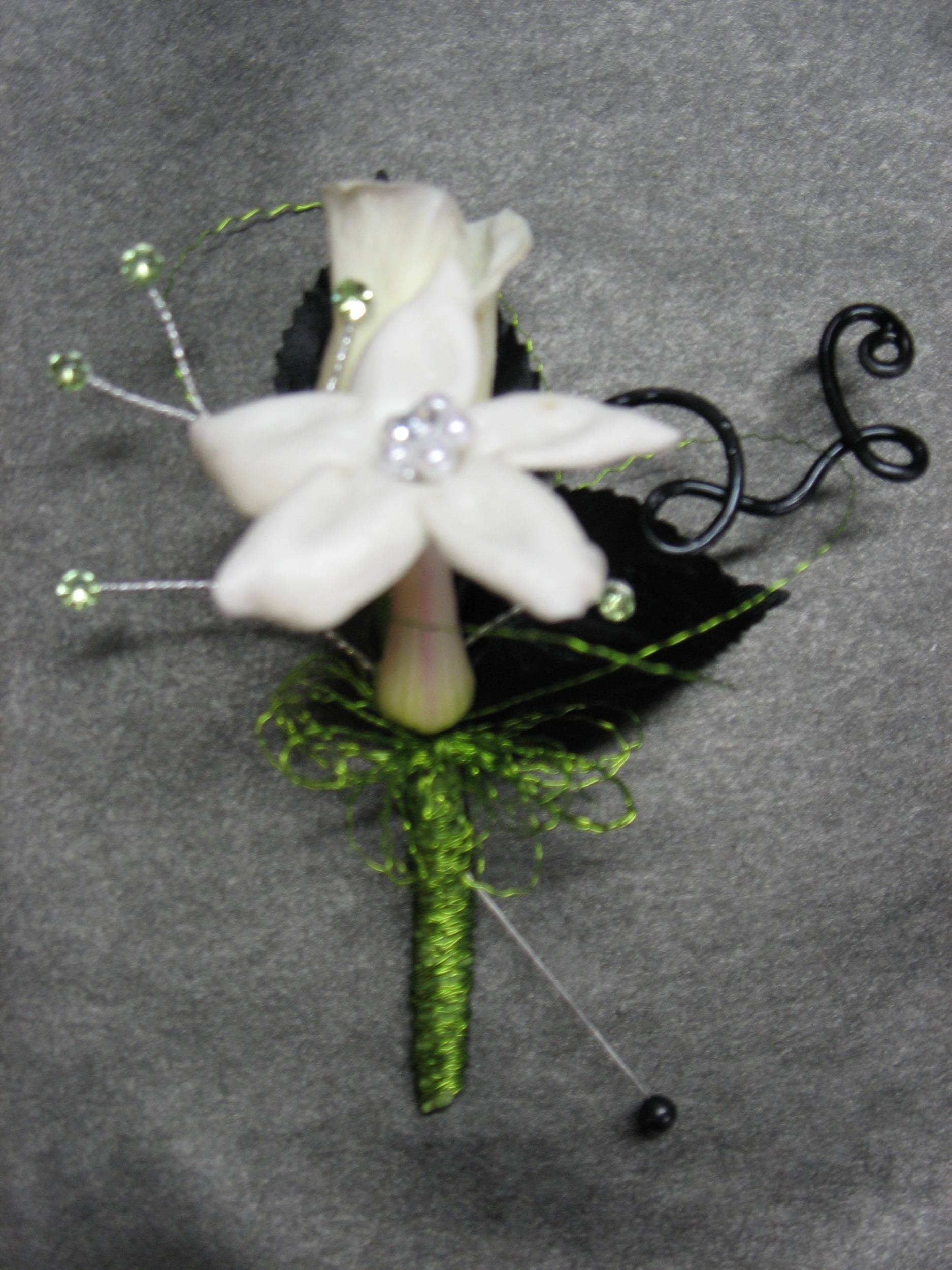 stephanotis bout