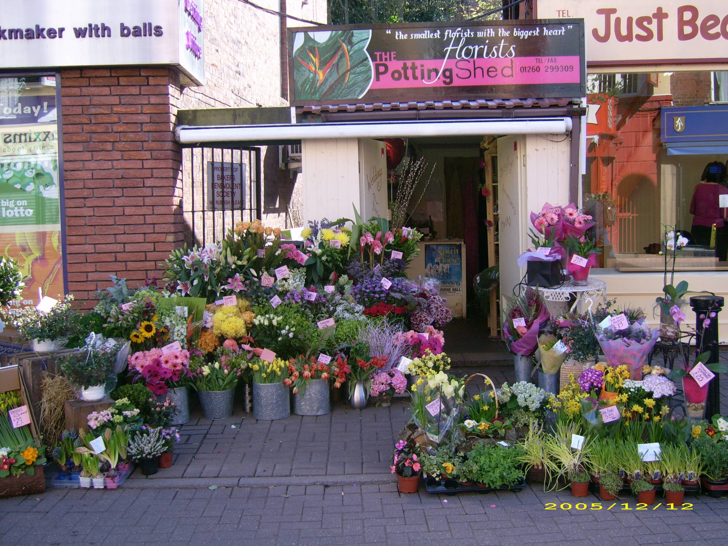 the potting shed shop